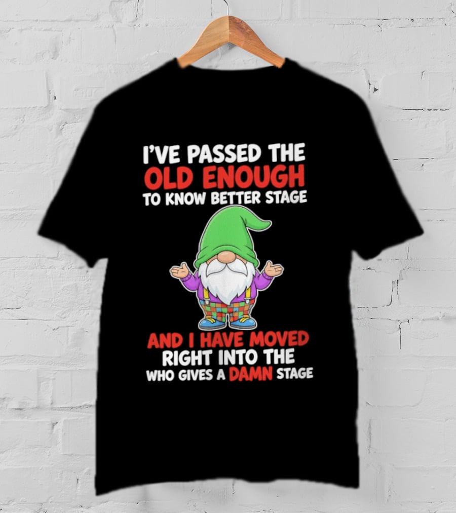 I've Passed The Old Enough To Know Better Gnome And Moved Into Who Gives A Damn Stage T-Shirt