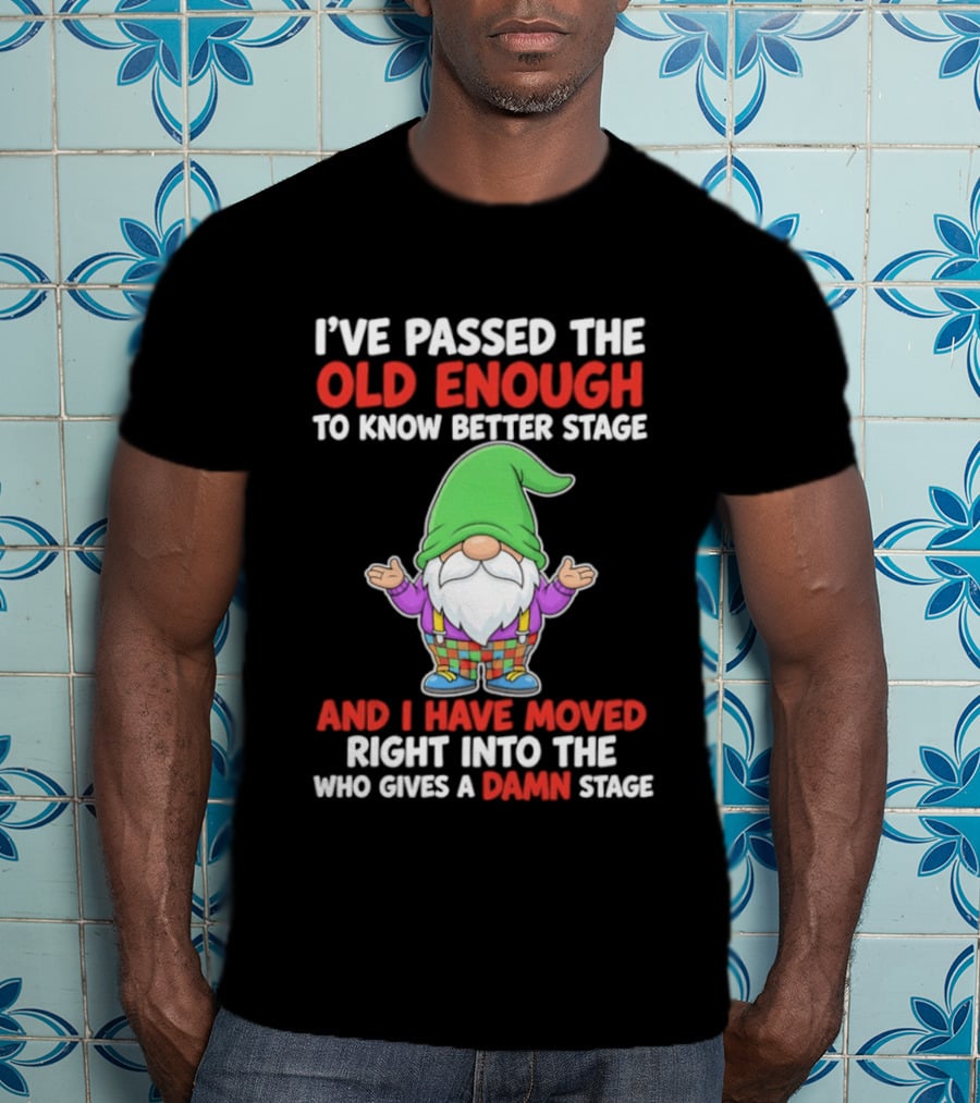 I've Passed The Old Enough To Know Better Gnome And Moved Into Who Gives A Damn Stage T-Shirt