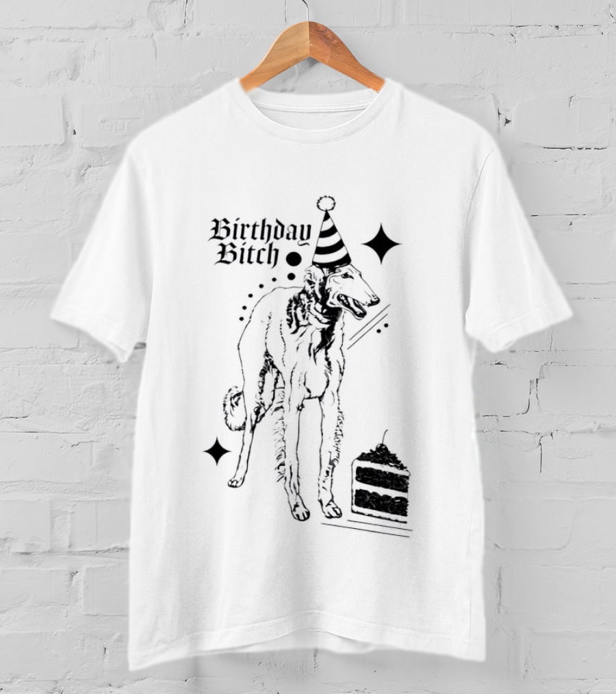 Birthday Bitch Dog Party Hat Cake Celebration Fun T-Shirt