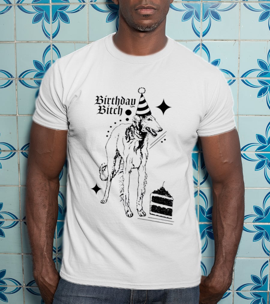 Birthday Bitch Dog Party Hat Cake Celebration Fun T-Shirt
