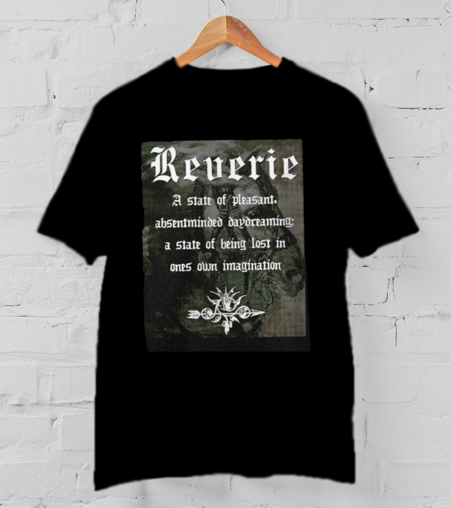 Reverie A State Of Pleasant Absentminded Daydreaming Imagination T-Shirt