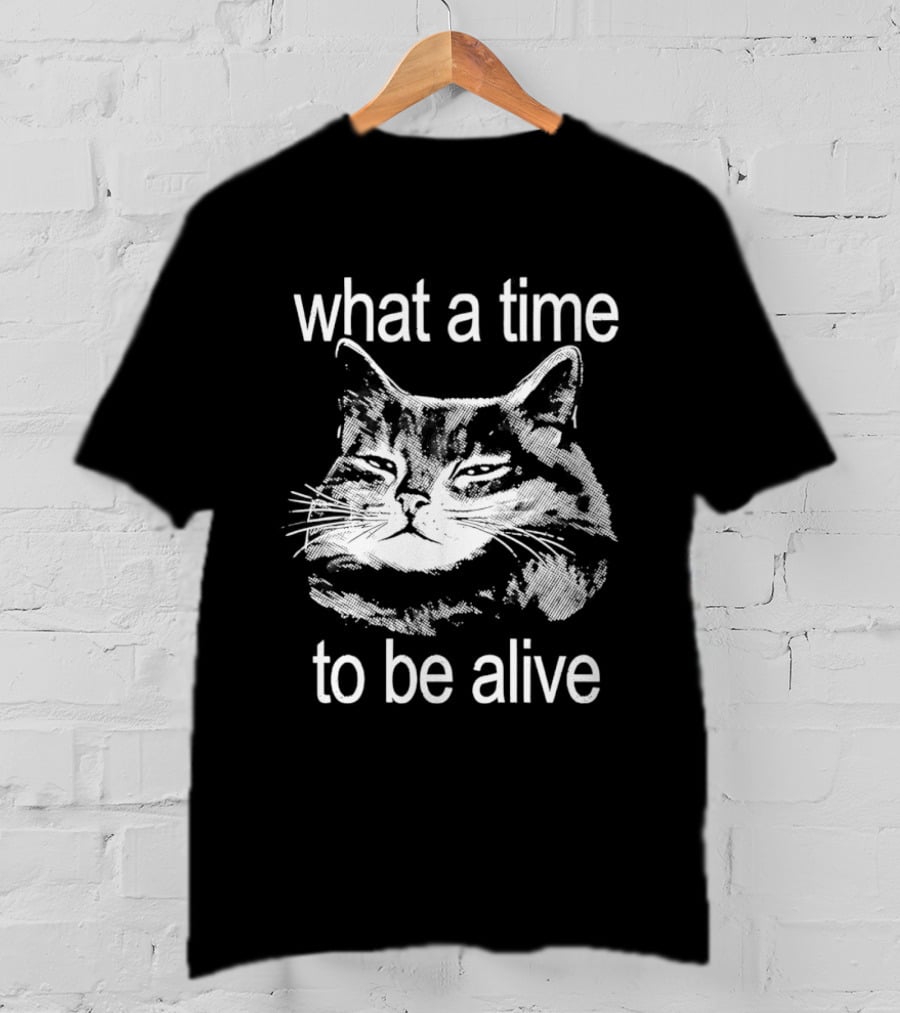 What A Time To Be Alive Cat Meme T-Shirt