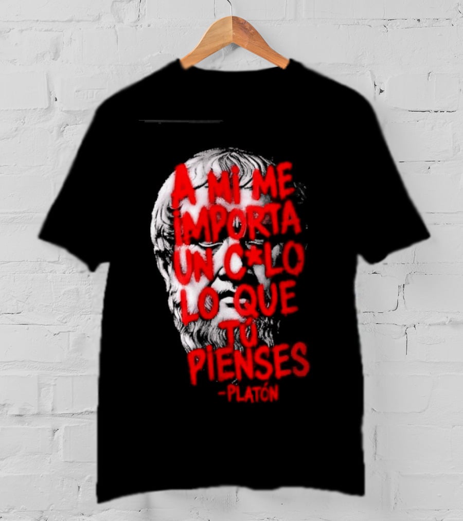 A Mi Me Importa Un Culo Lo Que Tu Pienses Platón Skull T-Shirt