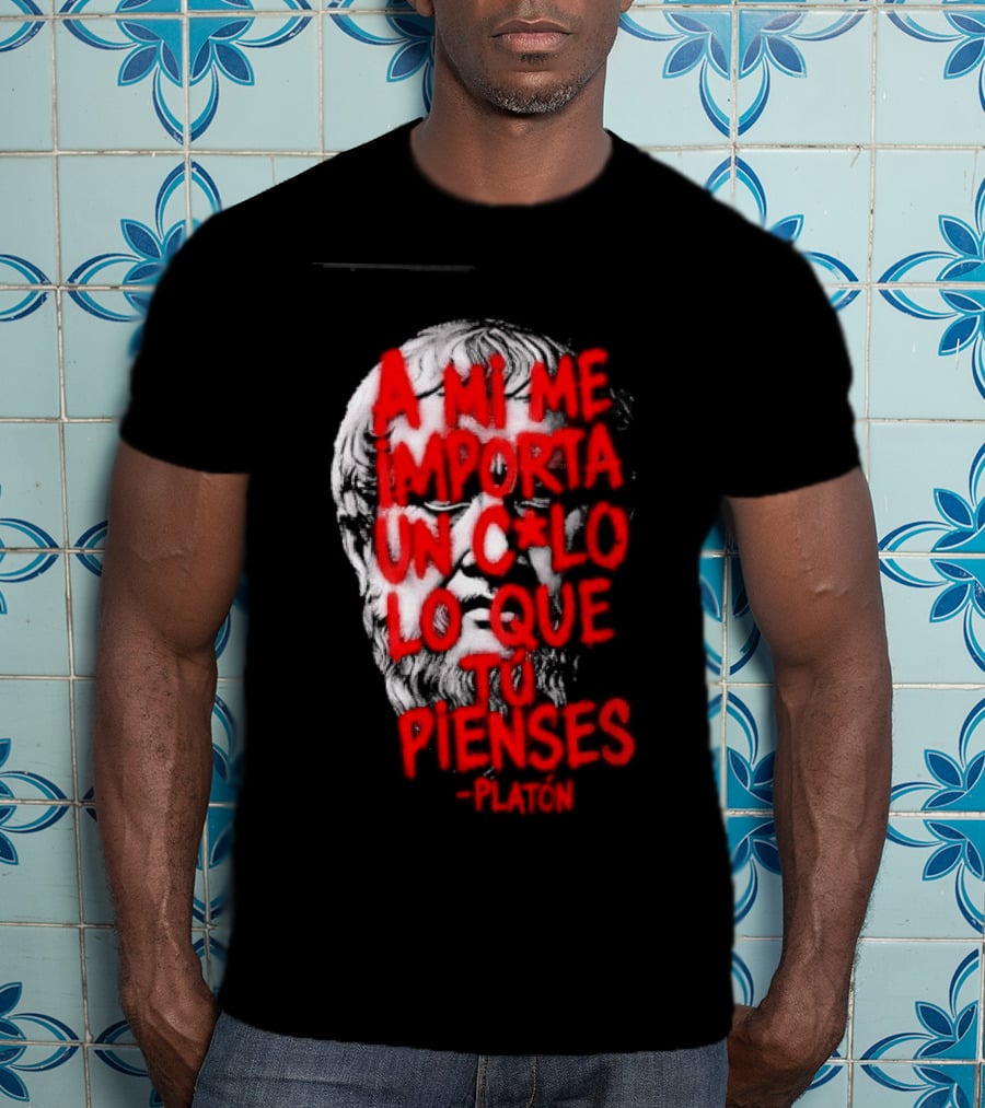 A Mi Me Importa Un Culo Lo Que Tu Pienses Platón Skull T-Shirt