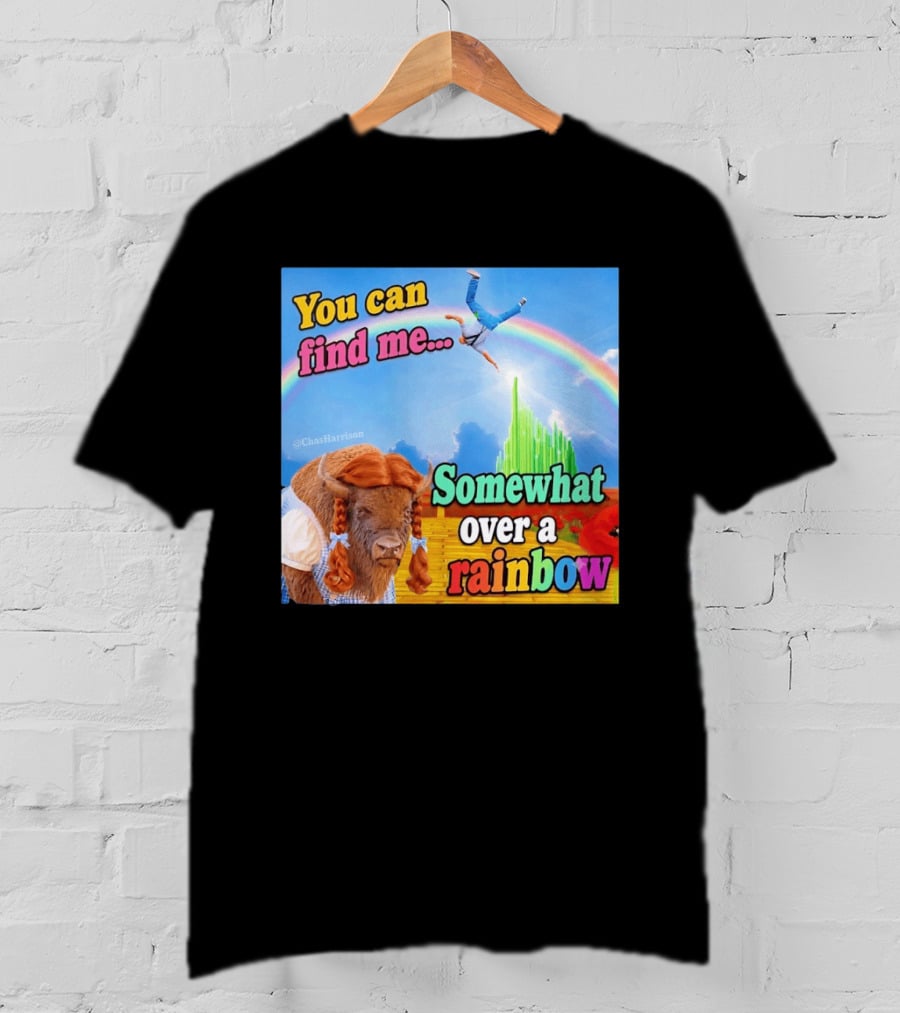 You Can Find Me Somewhat Over A Rainbow Bison Meme T-Shirt