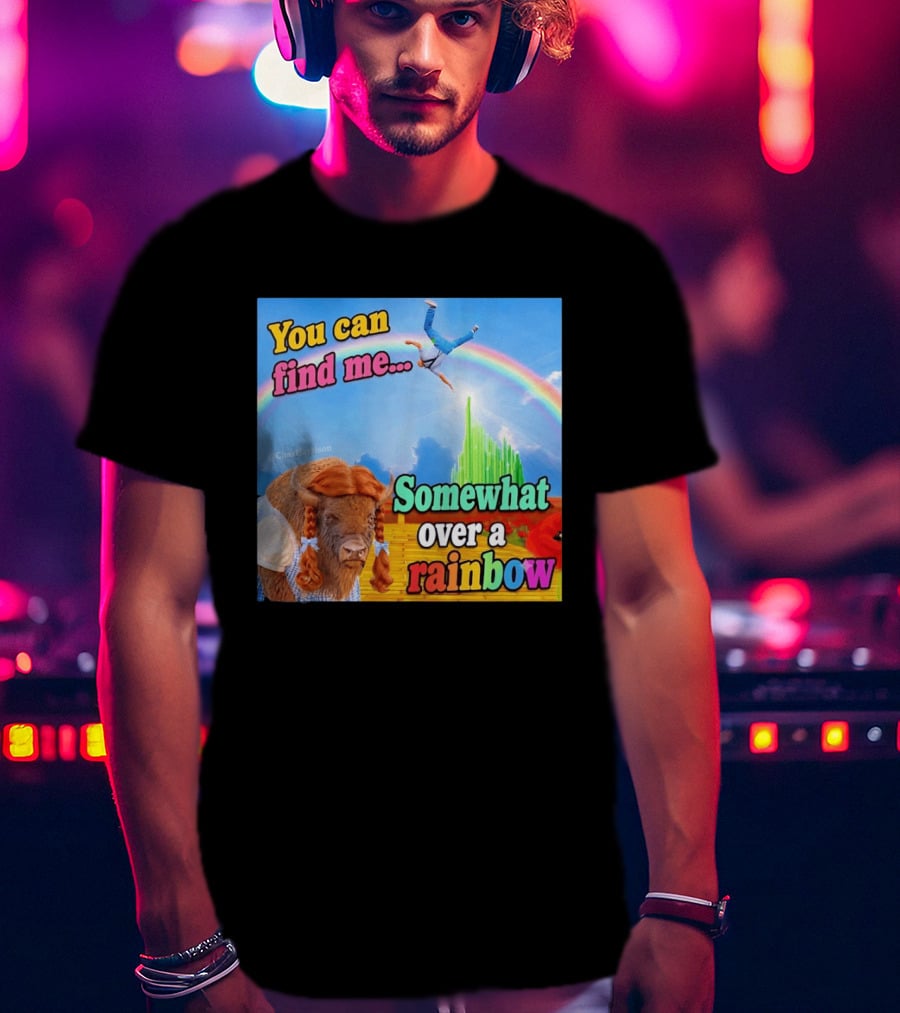 You Can Find Me Somewhat Over A Rainbow Bison Meme T-Shirt