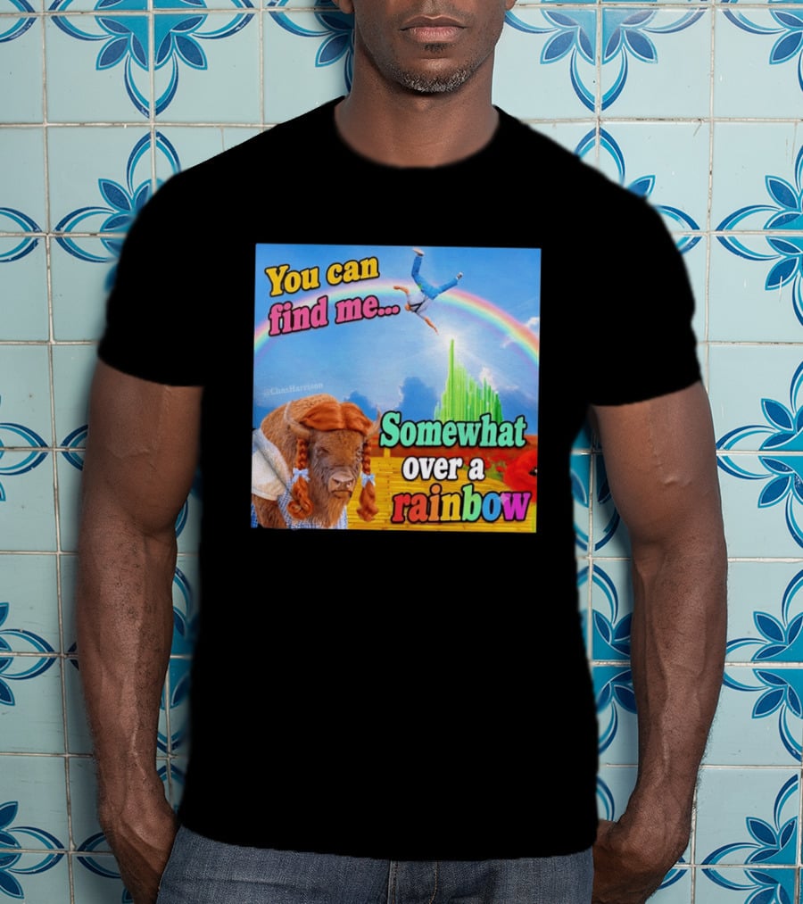 You Can Find Me Somewhat Over A Rainbow Bison Meme T-Shirt