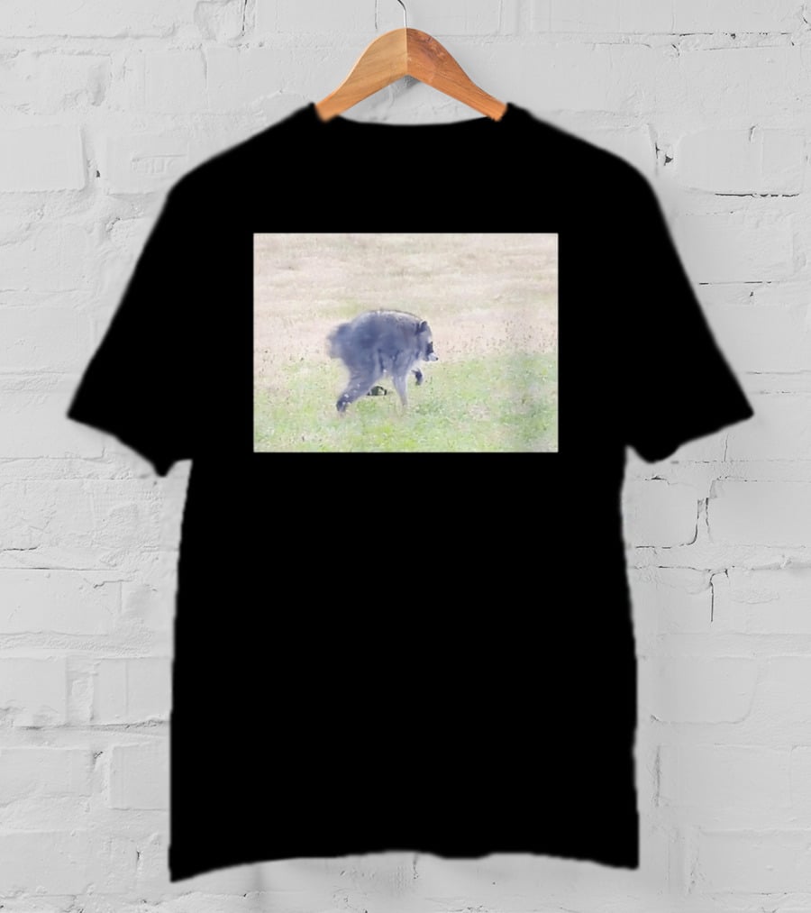 Jimothy Raccoon Walking In Grassy Field Wildlife Scene T-Shirt