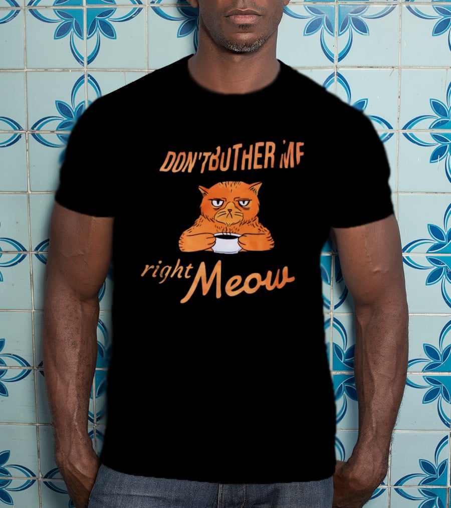 Don't Bother Me Right Meow Grumpy Cat Coffee T-Shirt