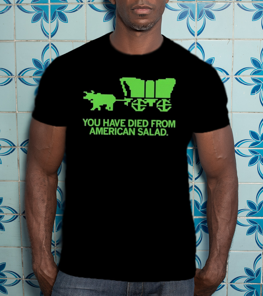 You Have Died From American Salad Ox Cart Retro Gaming Spoof T-Shirt