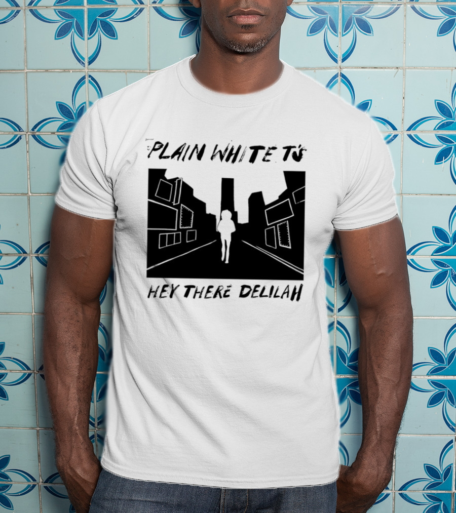 Plain White T's Hey There Delilah City T-Shirt