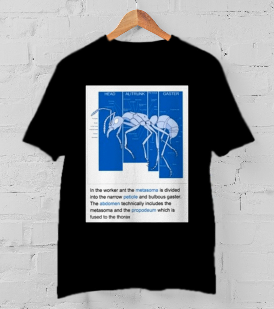 Head Alitrunk Gaster Metasoma Petiole Anatomy Of An Ant T-Shirt