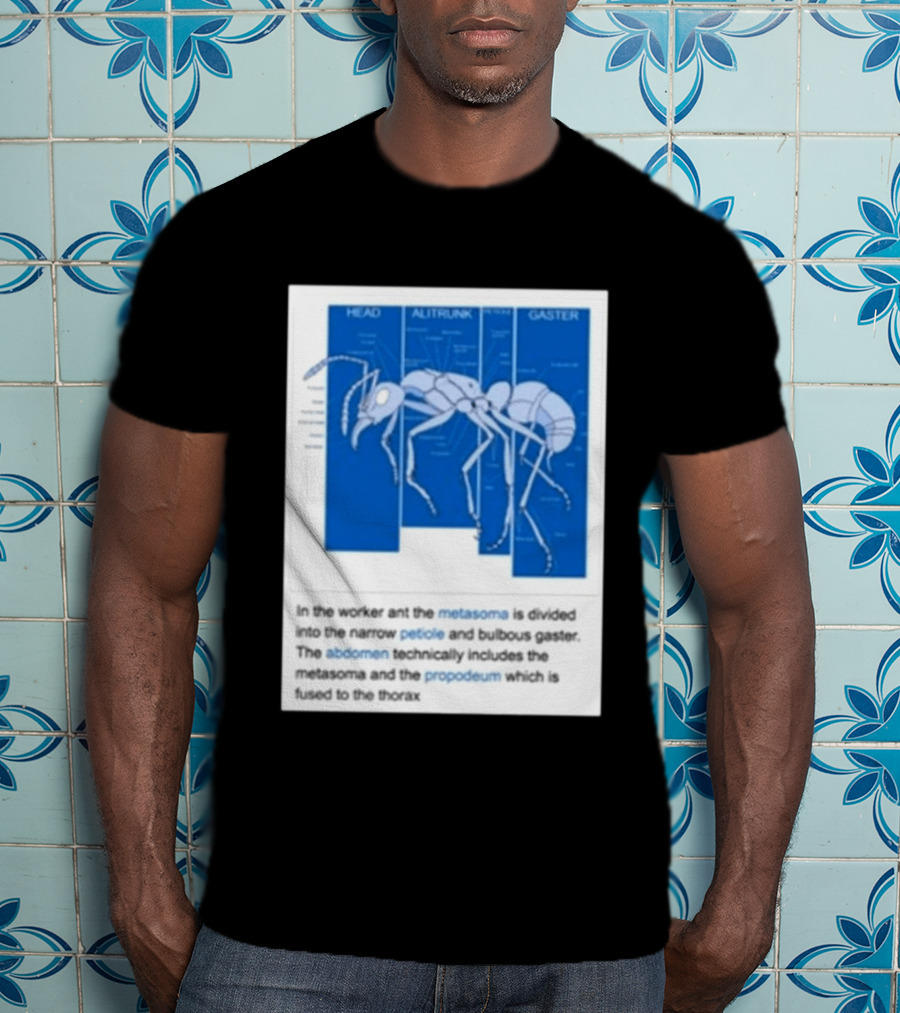 Head Alitrunk Gaster Metasoma Petiole Anatomy Of An Ant T-Shirt