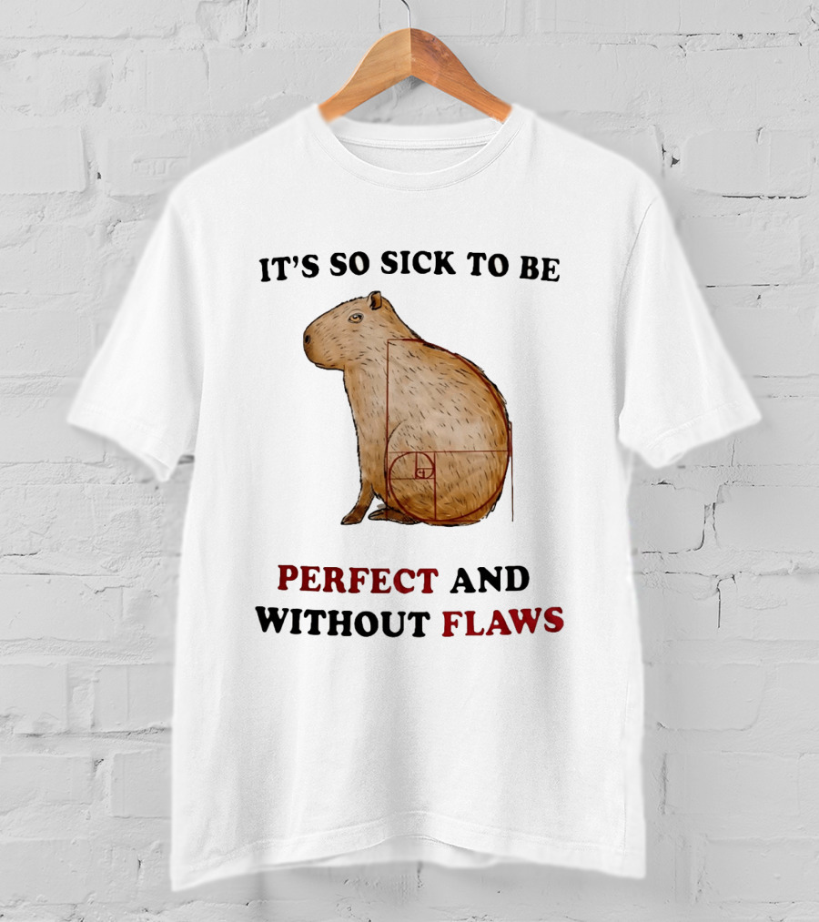 Capybara It's So Sick To Be Perfect And Without Flaws Fibonacci Spiral T-Shirt