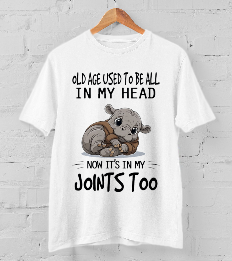 Old Age Used To Be All In My Head Now It's In My Joints Too Cute Hippopotamus T-Shirt