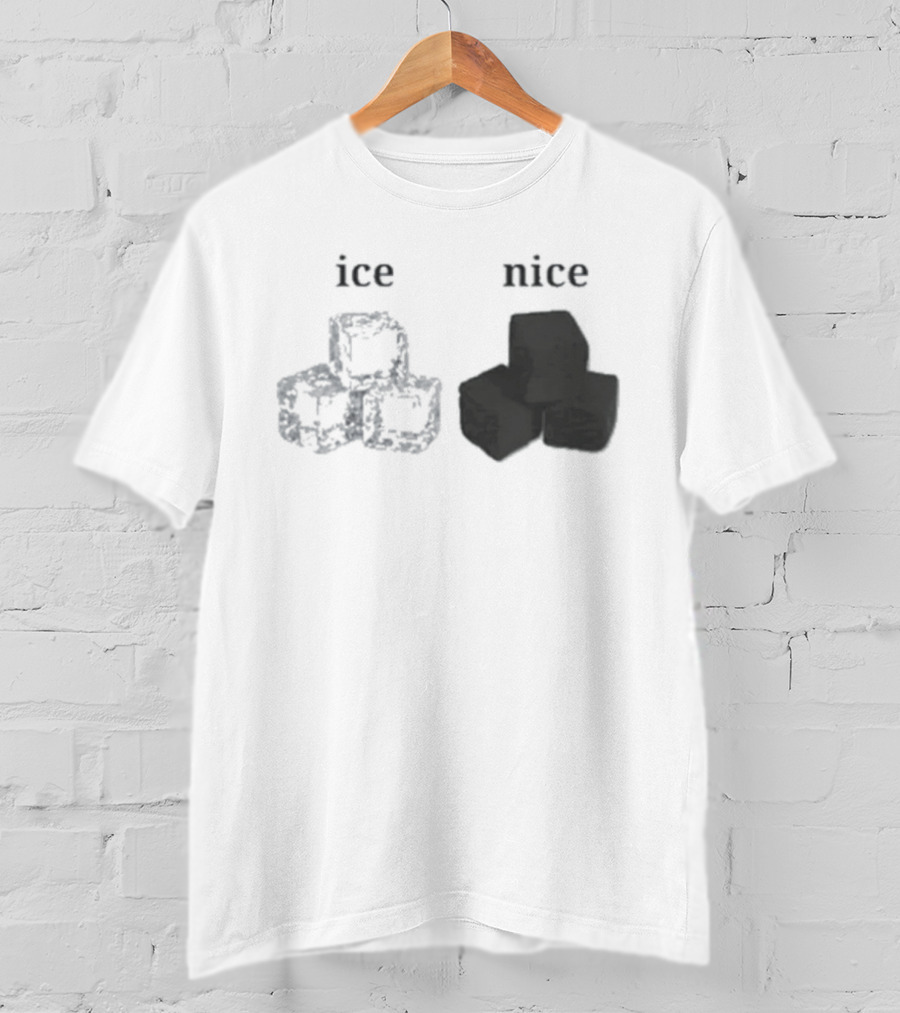 Ice Vs Nice Cubes Playful Word T-Shirt