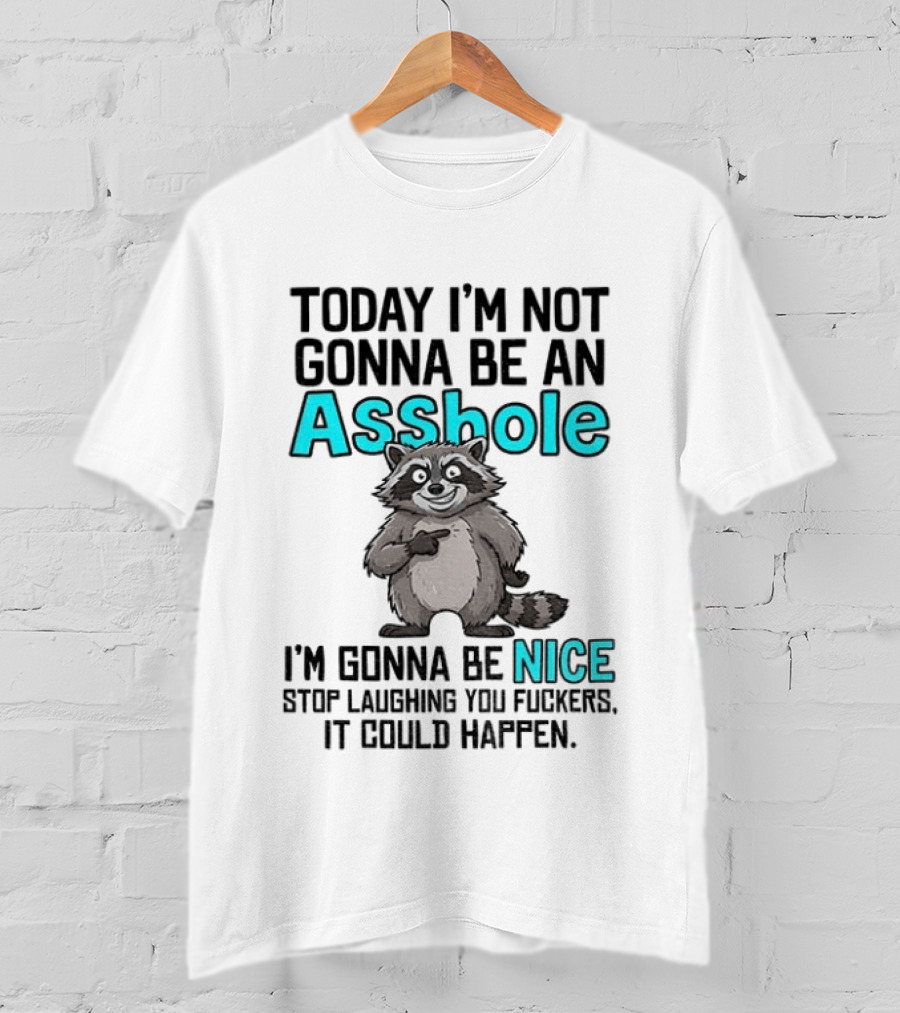 Today I'm Not Gonna Be An Asshole I'm Gonna Be Nice Stop Laughing It Could Happen Raccoon T-Shirt