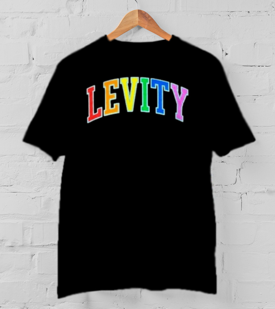 Levity You Will Now Experience Levity T-Shirt