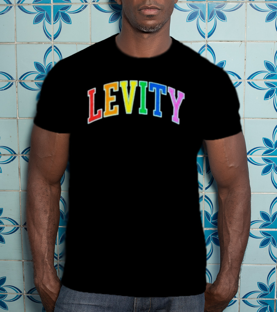 Levity You Will Now Experience Levity T-Shirt