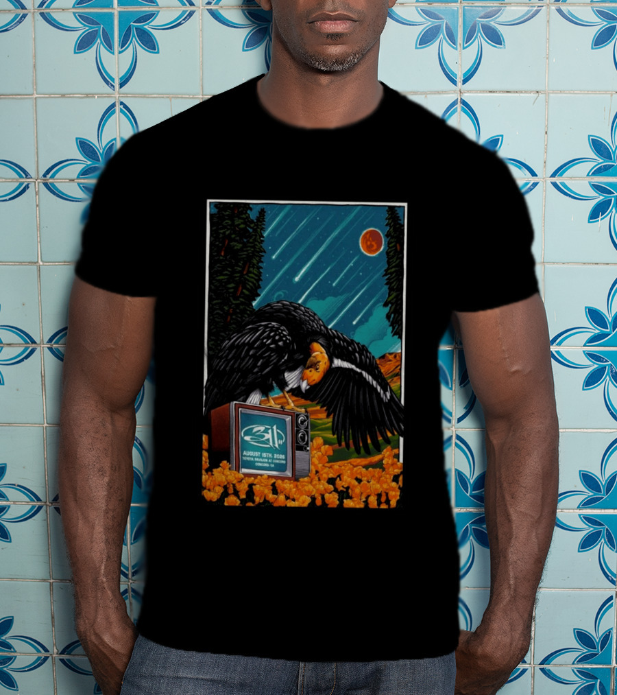 311 Toyota Pavilion Concord Event August 15 2026 California T-Shirt