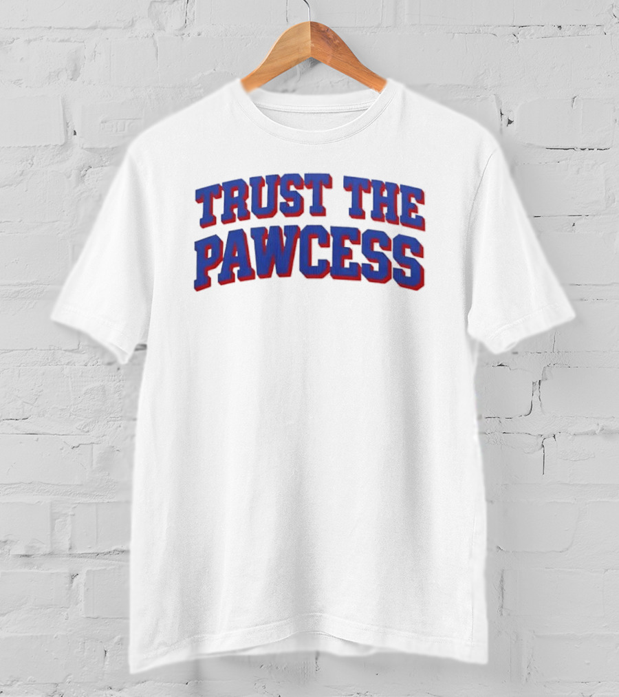 Trust The Pawcess Blue Red Arched 3D Wood Grain T-Shirt