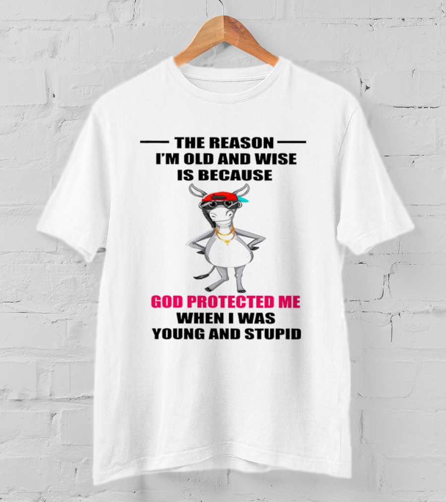 The Reason I'm Old And Wise God Protected Me When I Was Young And Stupid Cool Cow With Cap And Chains T-Shirt