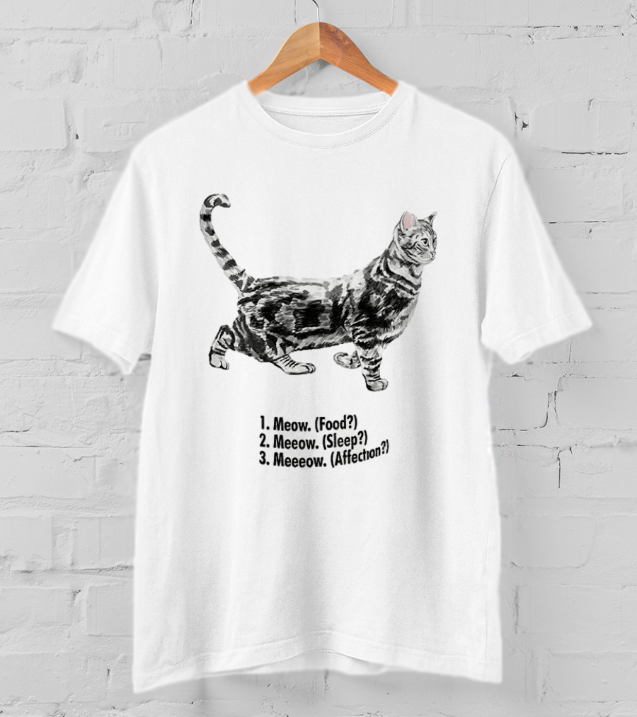 Meow Food Meeow Sleep Meeeow Affection Cat Lovers Humor T-Shirt