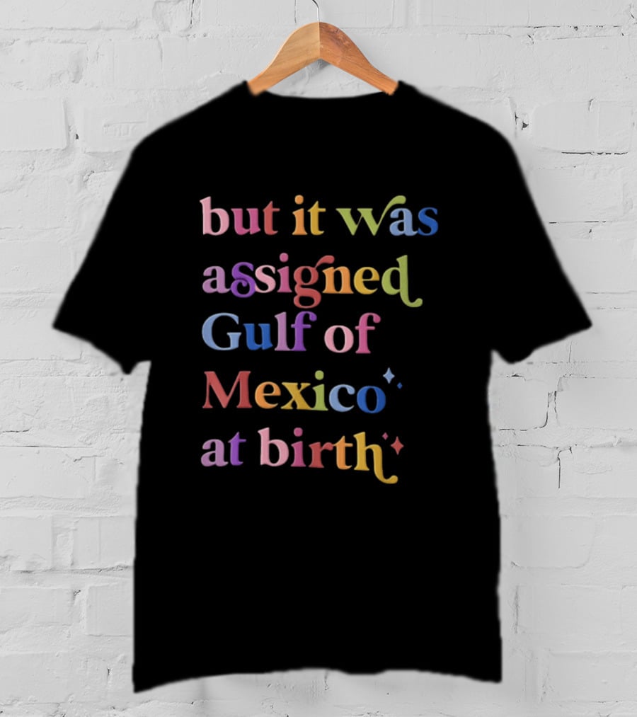 But It Was Assigned Gulf Of Mexico At Birth Rainbow T-Shirt