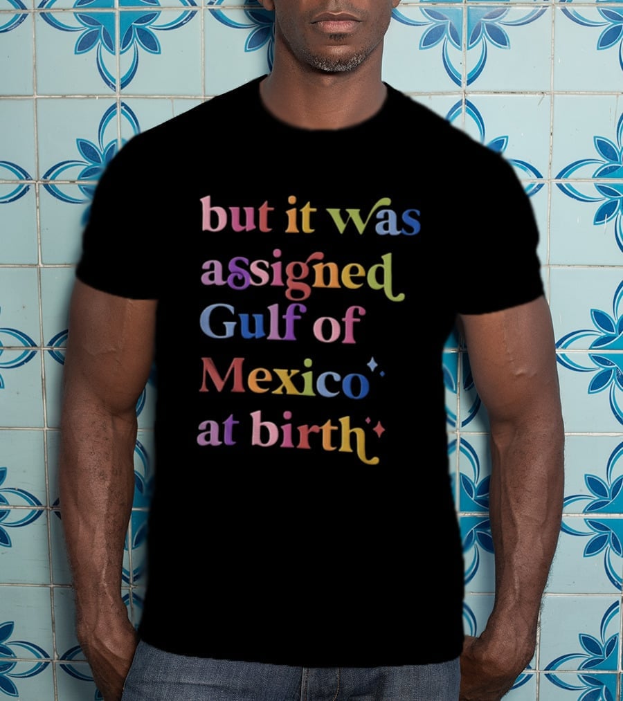 But It Was Assigned Gulf Of Mexico At Birth Rainbow T-Shirt