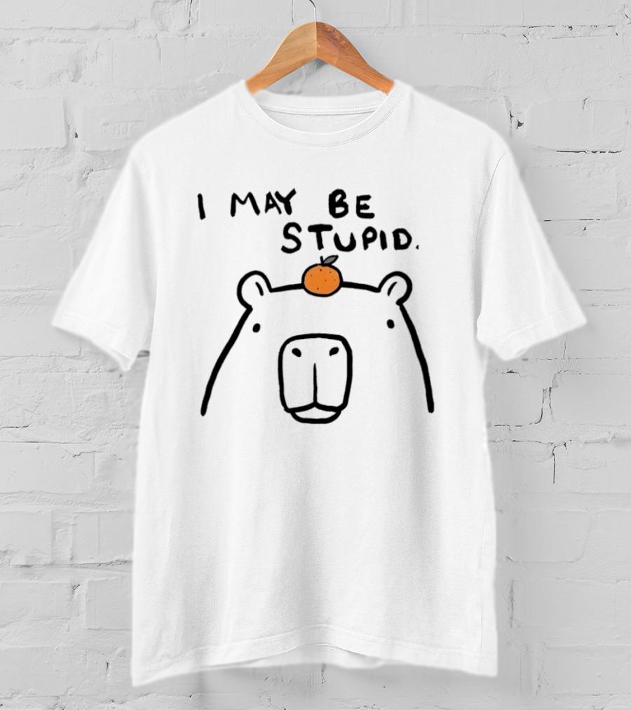 Capybara Orange I May Be Stupid T-Shirt