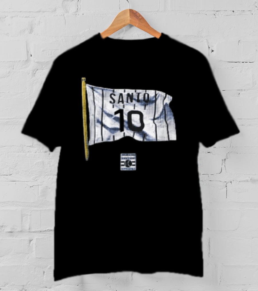 Santo 10 Baseball Hall Of Fame Pinstripe Flag T-Shirt