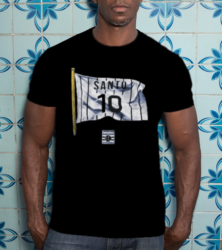 Santo 10 Baseball Hall Of Fame Pinstripe Flag T-Shirt