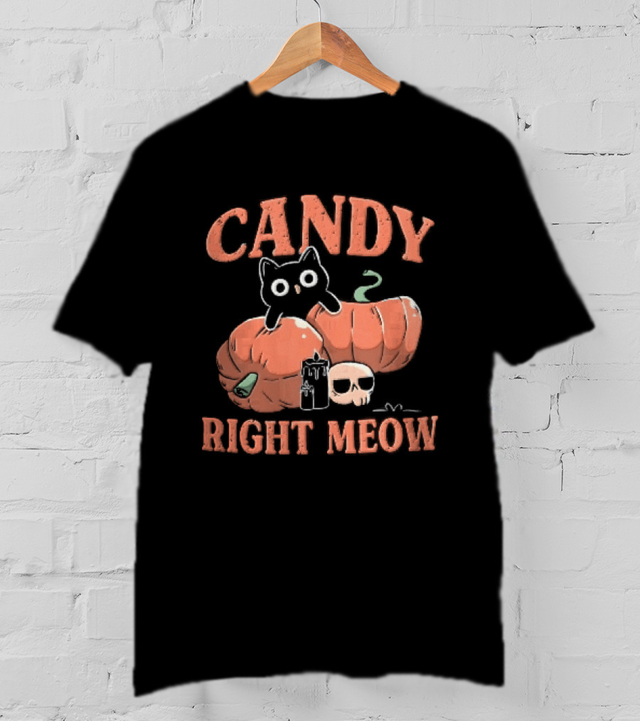 Candy Right Meow Black Cat Pumpkins Candles Skull Halloween T-Shirt