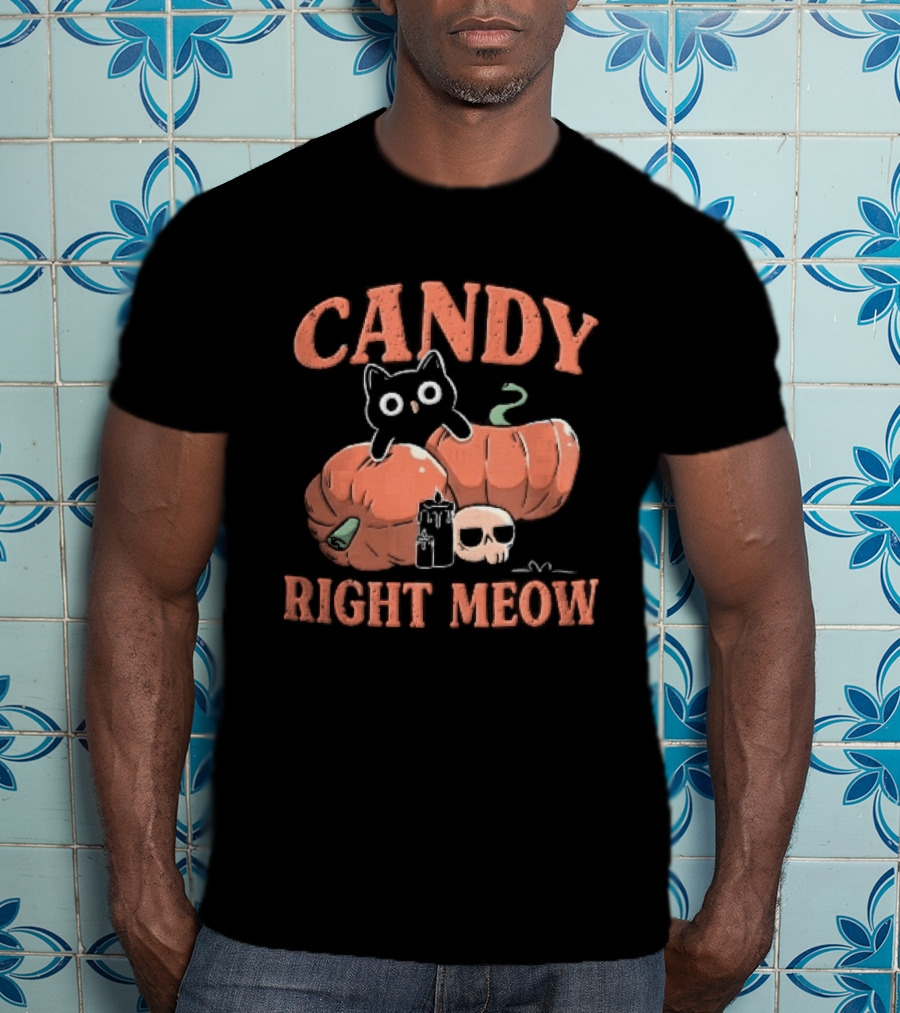 Candy Right Meow Black Cat Pumpkins Candles Skull Halloween T-Shirt