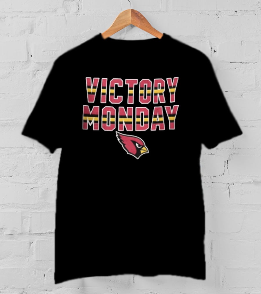 Victory Monday Arizona Cardinals Bird Head Striped T-Shirt