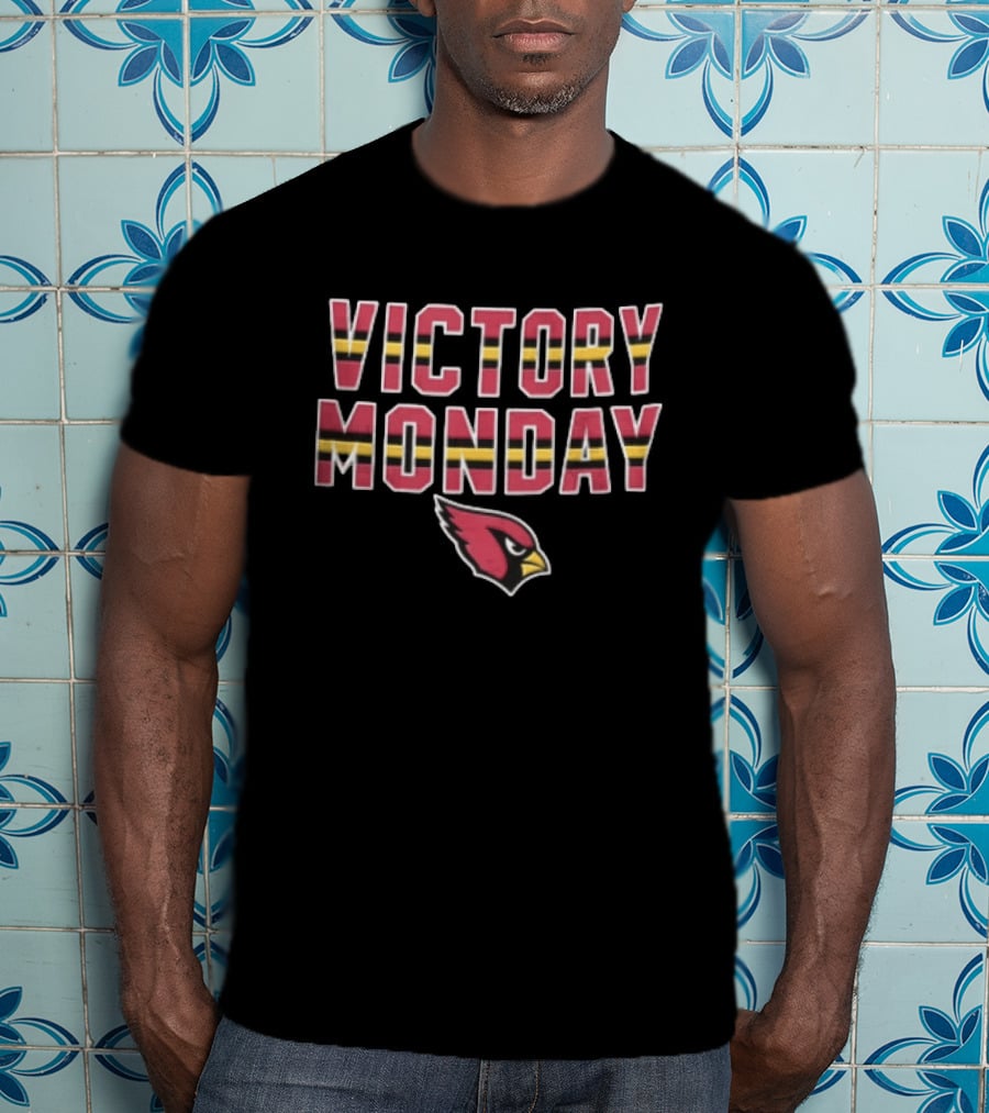 Victory Monday Arizona Cardinals Bird Head Striped T-Shirt