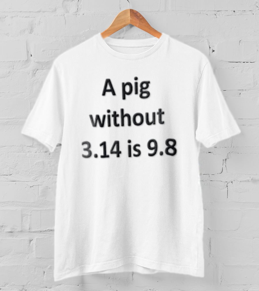 A Pig Without 3.14 Is 9.8 Black Minimalist Clever Play On Words T-Shirt