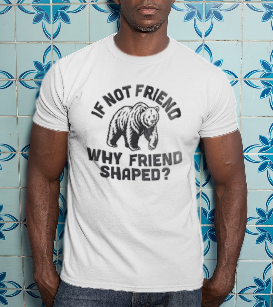 If Not Friend Why Friend Shaped Bear T-Shirt