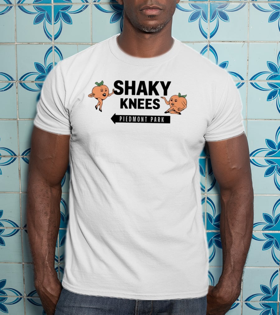Shaky Knees Festival Piedmont Park Peaches Crop Raglan Women's Lineup T-Shirt