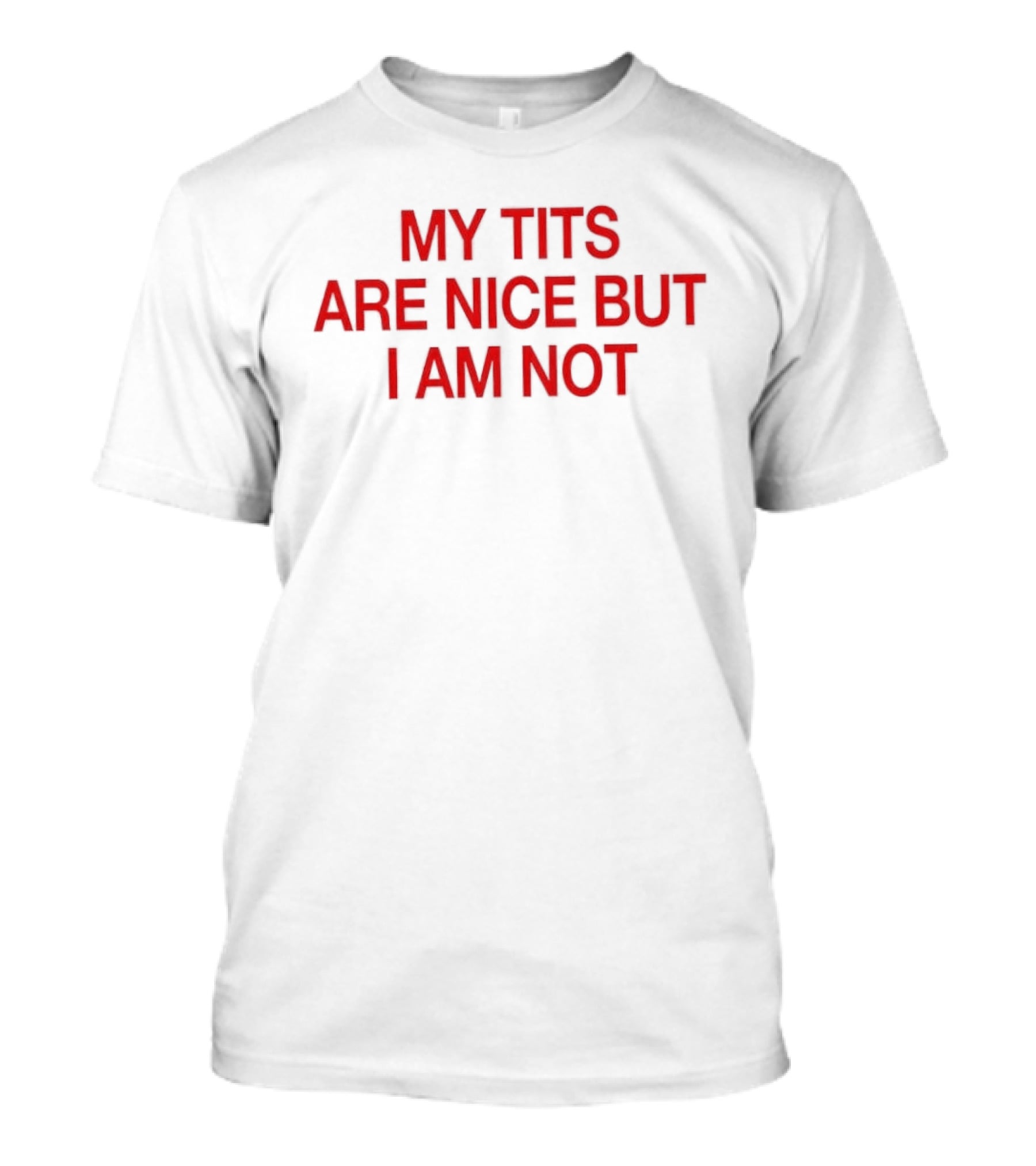 My Tits Are Nice But I Am Not Sassy Sarcastic T-Shirt