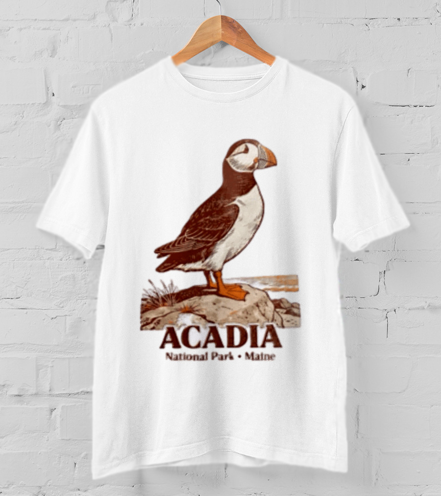 Acadia National Park Maine Puffin Standing On Rock T-Shirt