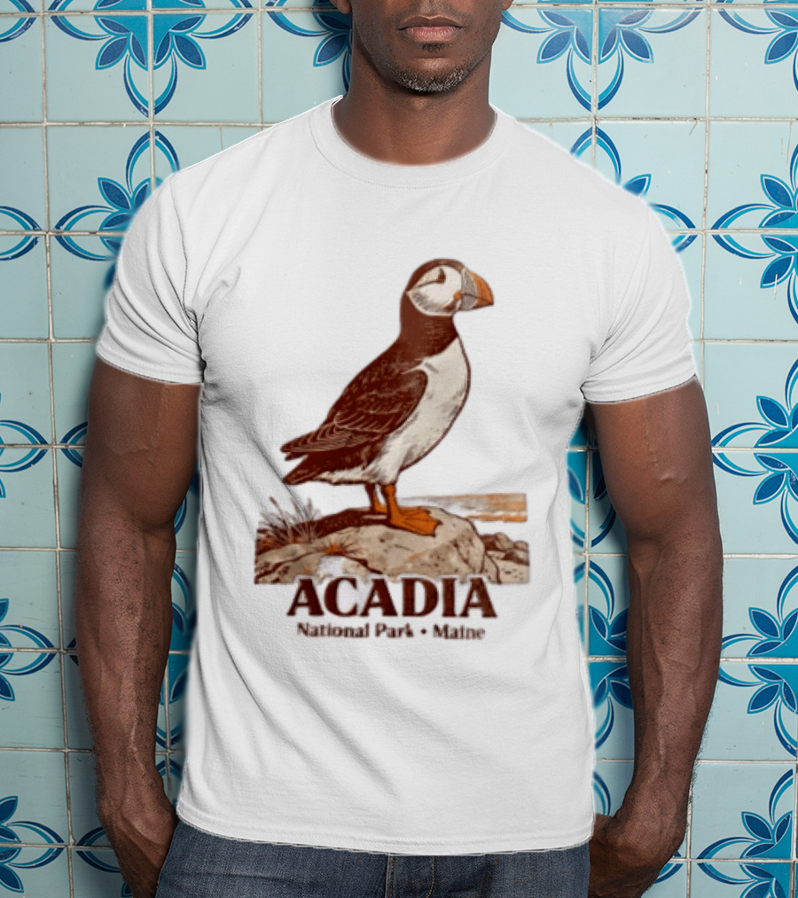 Acadia National Park Maine Puffin Standing On Rock T-Shirt