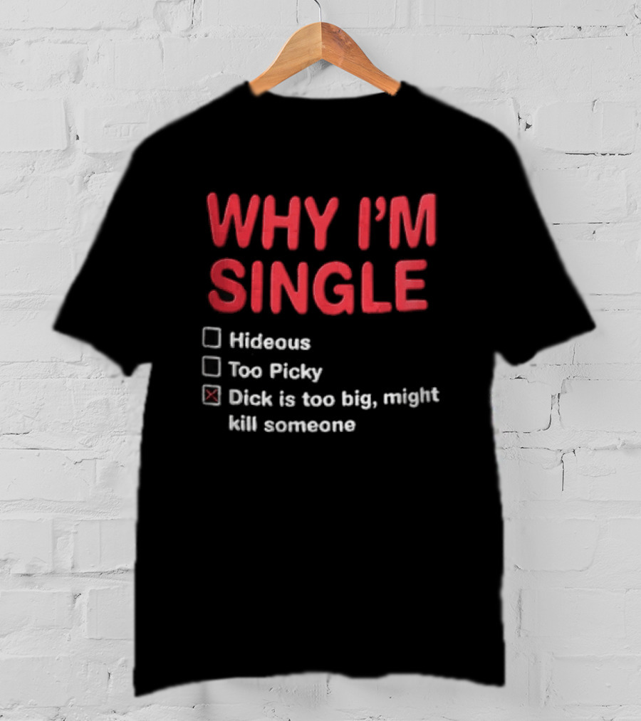 Why I'm Single Hideous Too Picky Just Might Hurt Someone T-Shirt