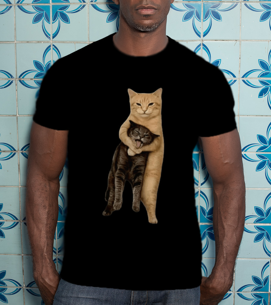 Orange Cat Hugging Grey Cat T-Shirt