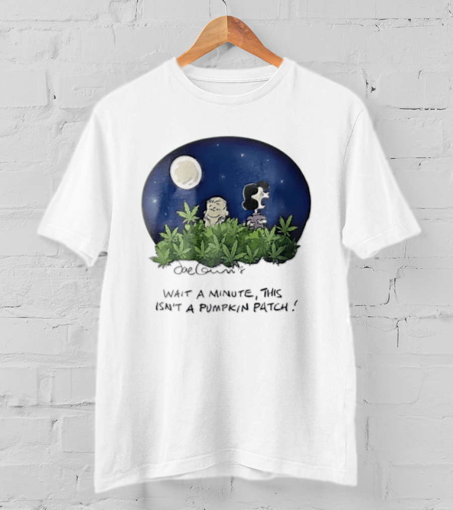 Peanuts Wait A Minute This Isn't A Pumpkin Patch Moon Night Scene Charlie Brown Lucy T-Shirt