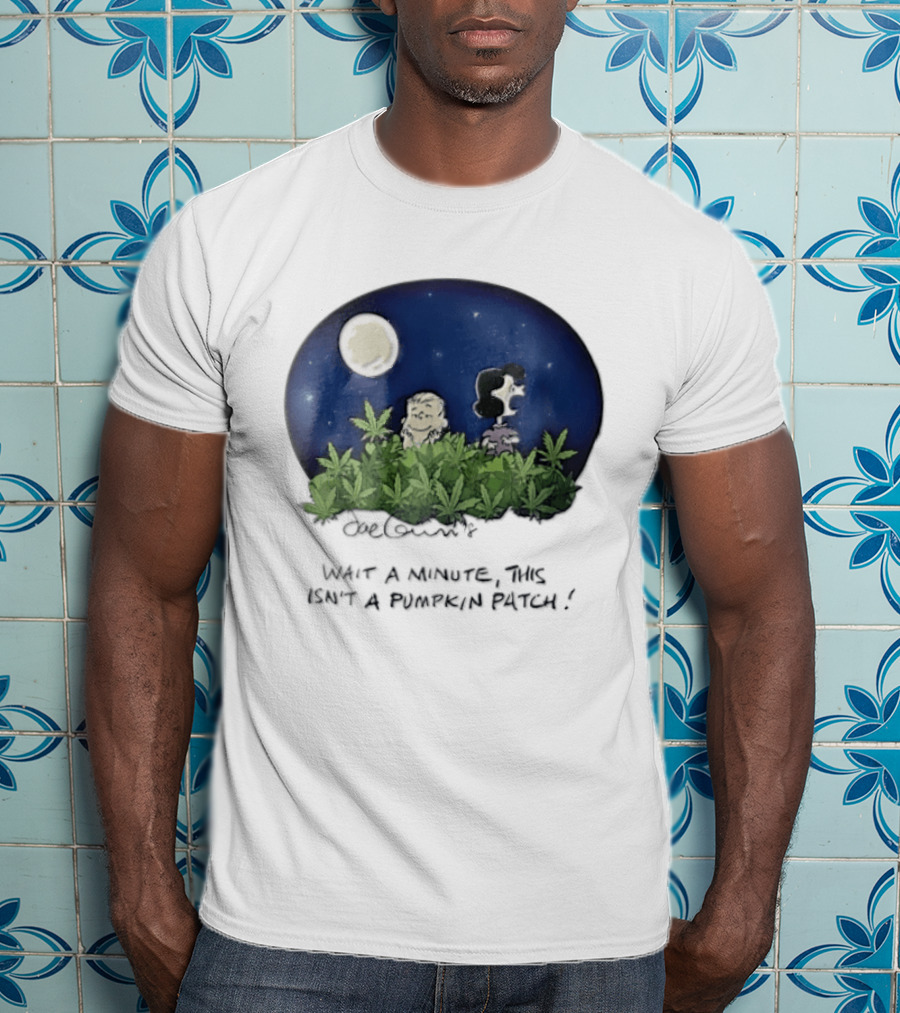 Peanuts Wait A Minute This Isn't A Pumpkin Patch Moon Night Scene Charlie Brown Lucy T-Shirt