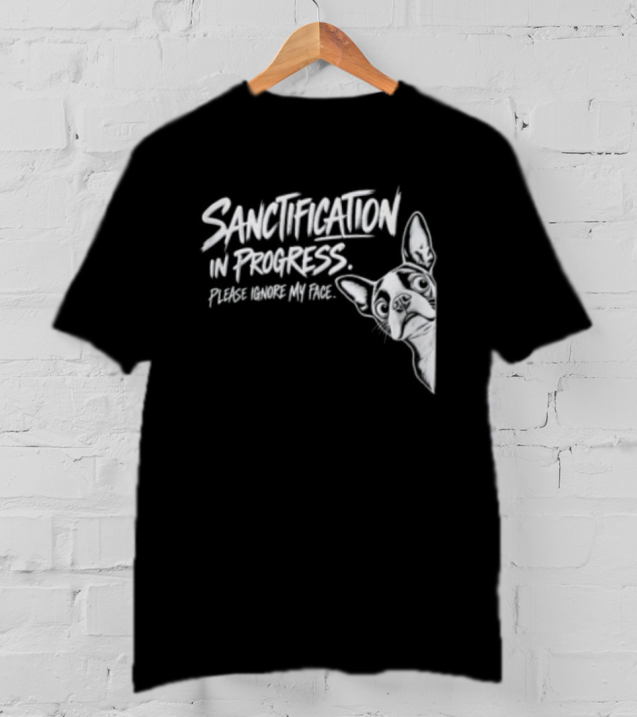 Sanctification In Progress Please Ignore My Face Funny Animal T-Shirt