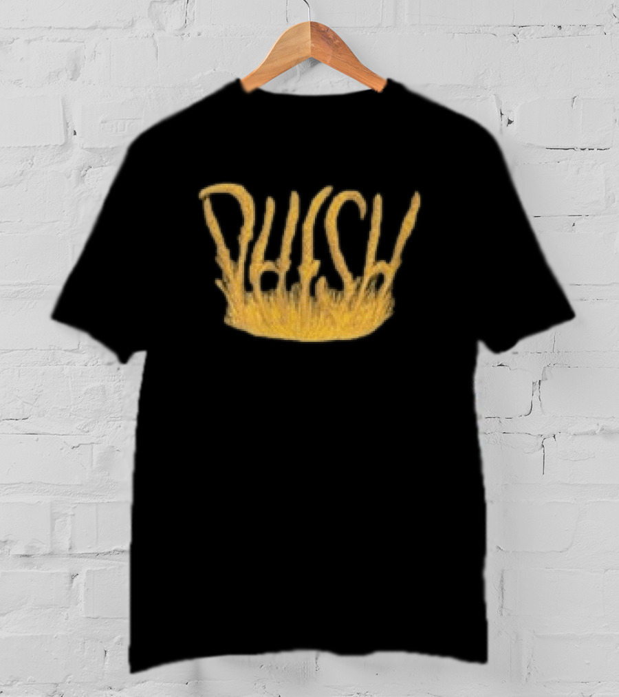 Phish Dry Goods Grain Zone Fall 2026 Harvest T-Shirt