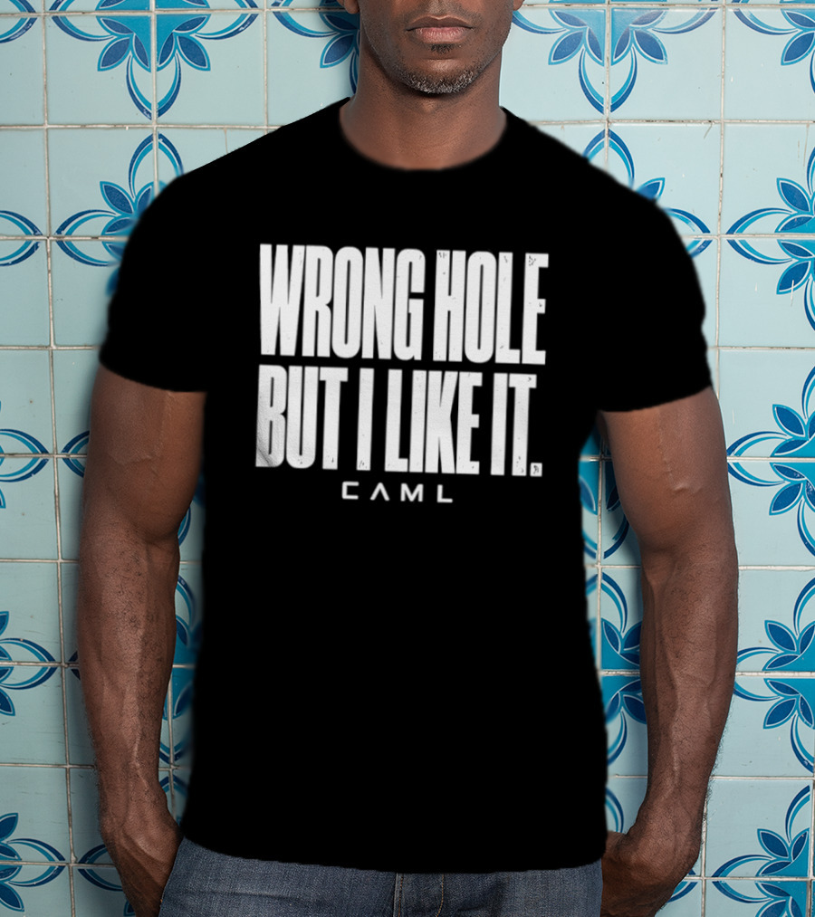 Wrong Hole But I Like It Distressed Sarcastic Saying CAML T-Shirt