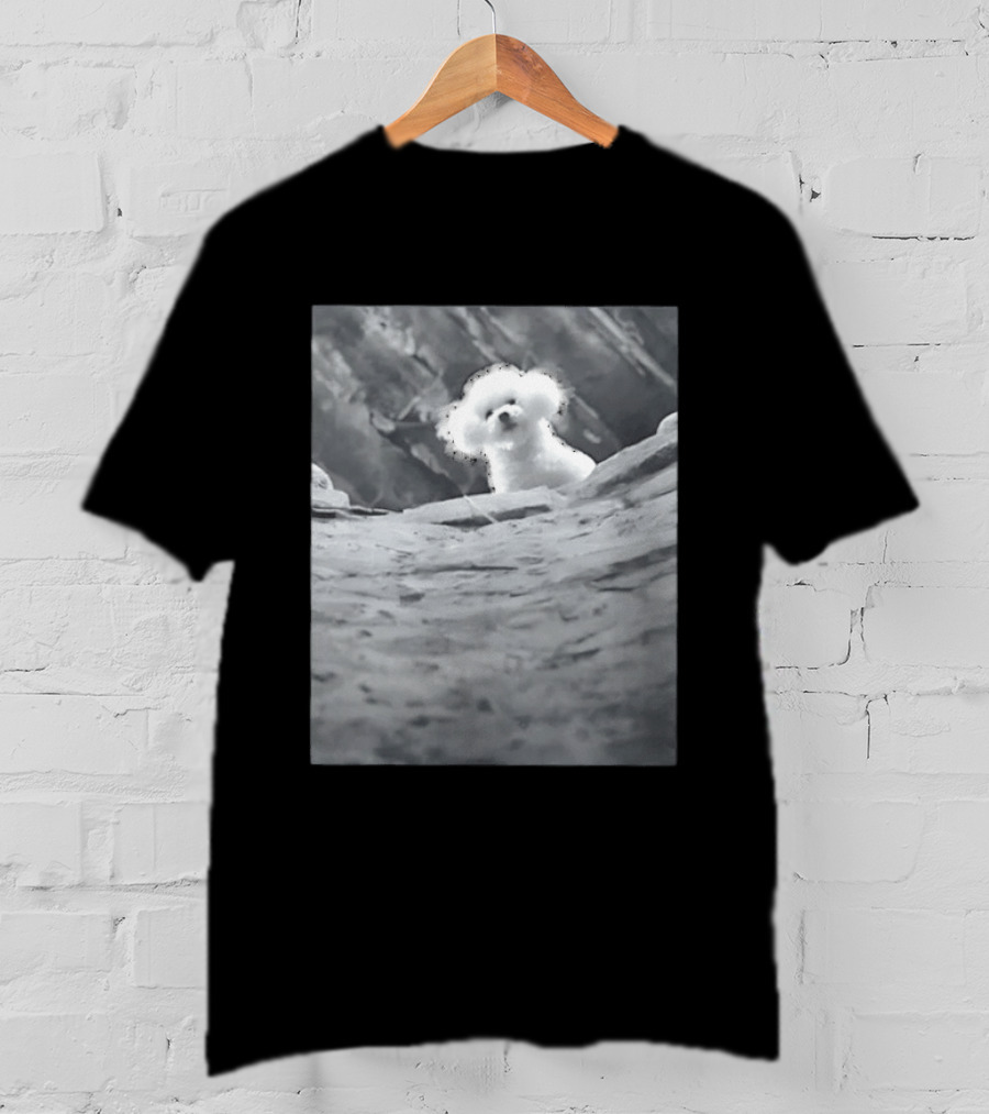Peeking Fluffy Dog In Rocky Landscape T-Shirt